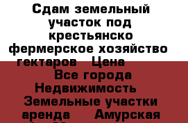 Сдам земельный участок под крестьянско-фермерское хозяйство 20 гектаров › Цена ­ 10 000 - Все города Недвижимость » Земельные участки аренда   . Амурская обл.,Михайловский р-н